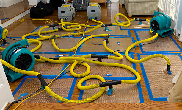 Professional Sewage Cleanup technician working in Preston, CT